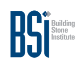 bsi logo